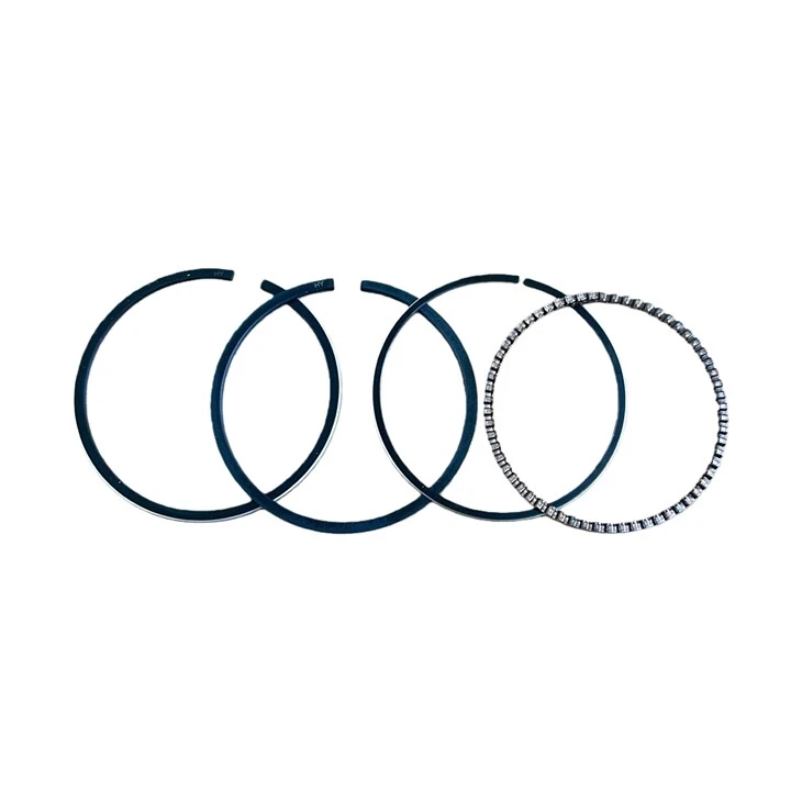 1P65 Lawn Mower Piston Ring suppliers